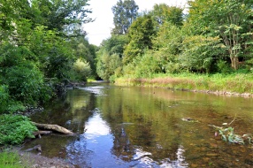 řeka Svratka za Jimramovem